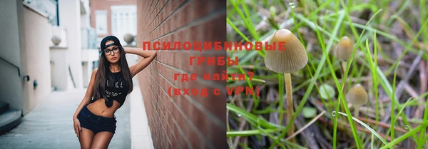 бошки Алексин