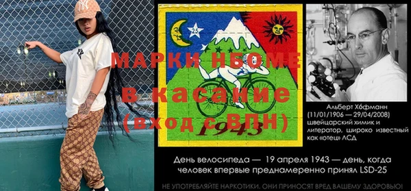 бошки Алексин
