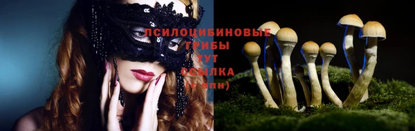 стафф Алзамай