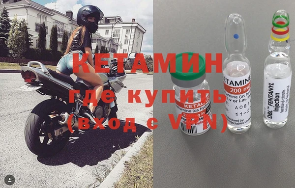 стафф Алзамай