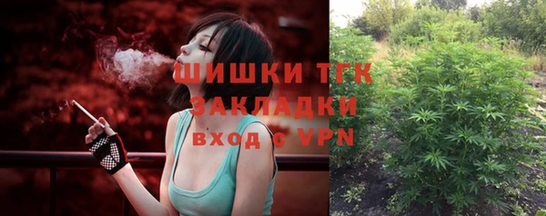 хмурый Карпинск