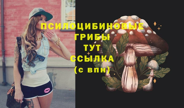 меф Гусев