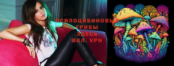 стафф Алзамай