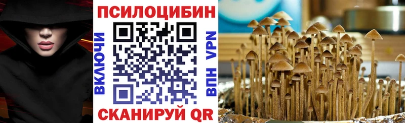 Псилоцибиновые грибы Psilocybe  Касимов 