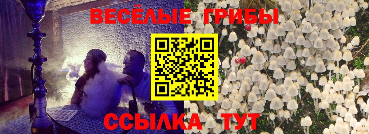 Касимов  Псилоцибиновые грибы прущие грибы  Вход с VPN 