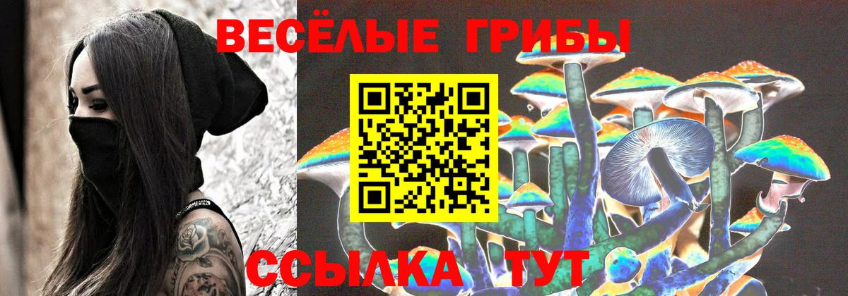 Галлюциногенные грибы Cubensis Касимов